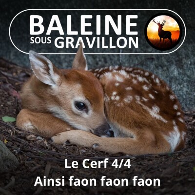 S06E12 Le Cerf 4/4 : Ainsi faon faon faon (Anthony Kohler) cover