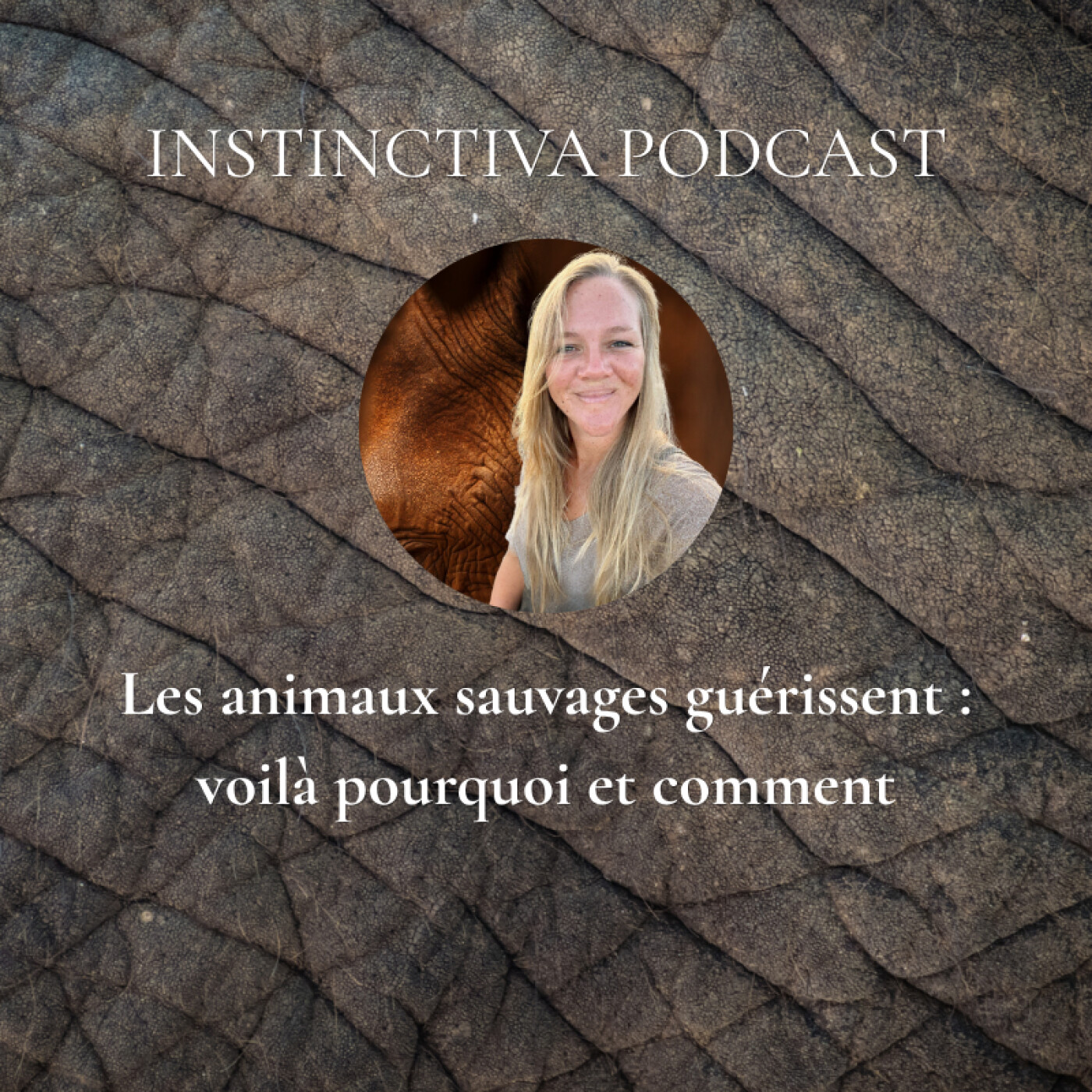 Les animaux sauvages guérissent : voilà pourquoi et comment episode artwork