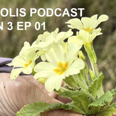 CreApolis (Saison 3) - ÉPISODE 01 - Introduction à la saison 3 des Podcasts CreApolis cover