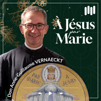 Calendrier de l'Avent - #14 Du Pacifique à Lourdes [Confidences des prêtres de Lourdes] cover