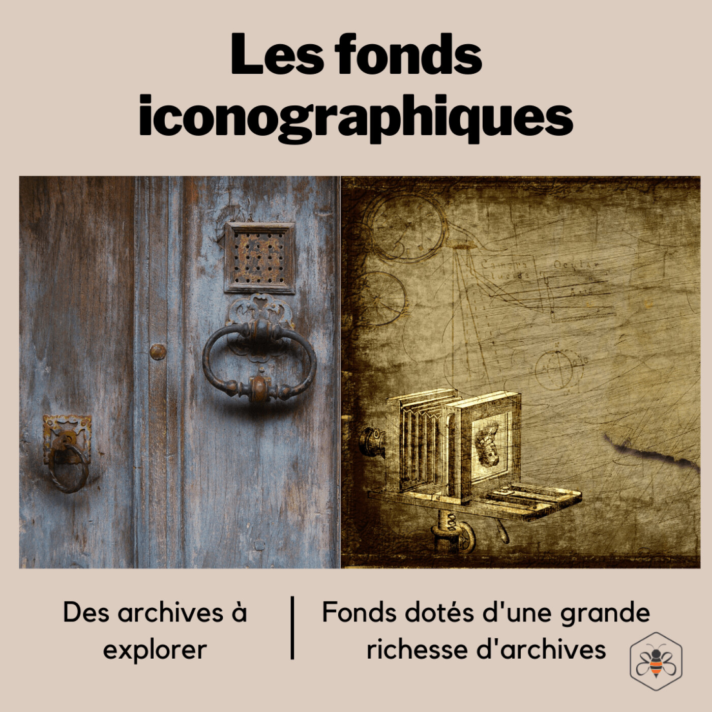 🎙Veille et actualités sur la généalogie et le patrimoine culturel [BeeActive] 🌳