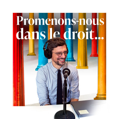 Episode 08 - Promenons-nous avec... Charles Touboul Moracchini [La fabrique de la loi] cover