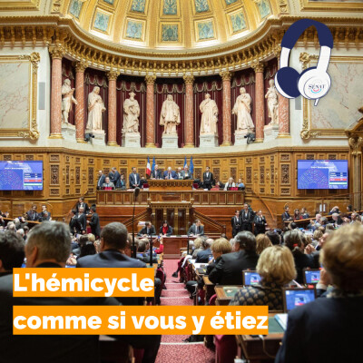 L'hémicycle comme si vous y étiez cover