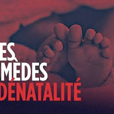 Causes et remèdes à la grande dénatalité - D. Cosandey - # politique cover