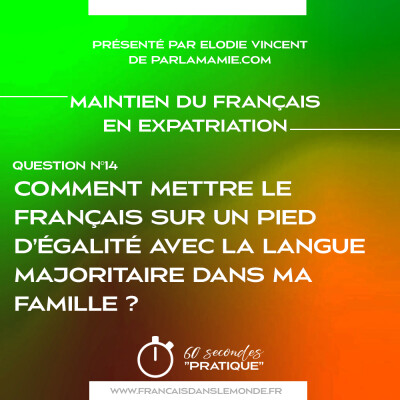 Maintien du Français :  Comment mettre le français sur un pied d'égalité avec la langue majoritaire dans ma famille ? cover