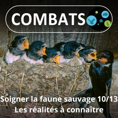 Show cover