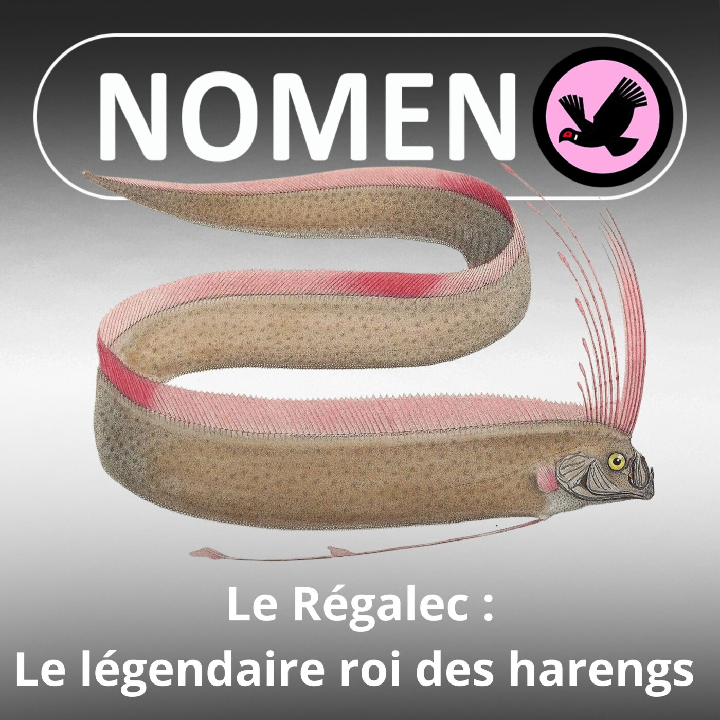 Nomen