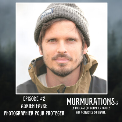 Adrien Favre - Photographier pour protéger / MURMURATIONS LE PODCAST QUI DONNE LA PAROLE AUX ACTIVISTES DU VIVANT cover