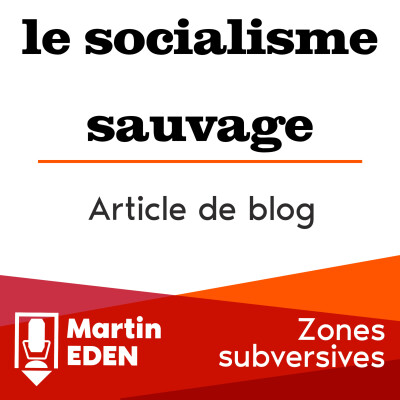 Zones subversives : le socialisme sauvage cover