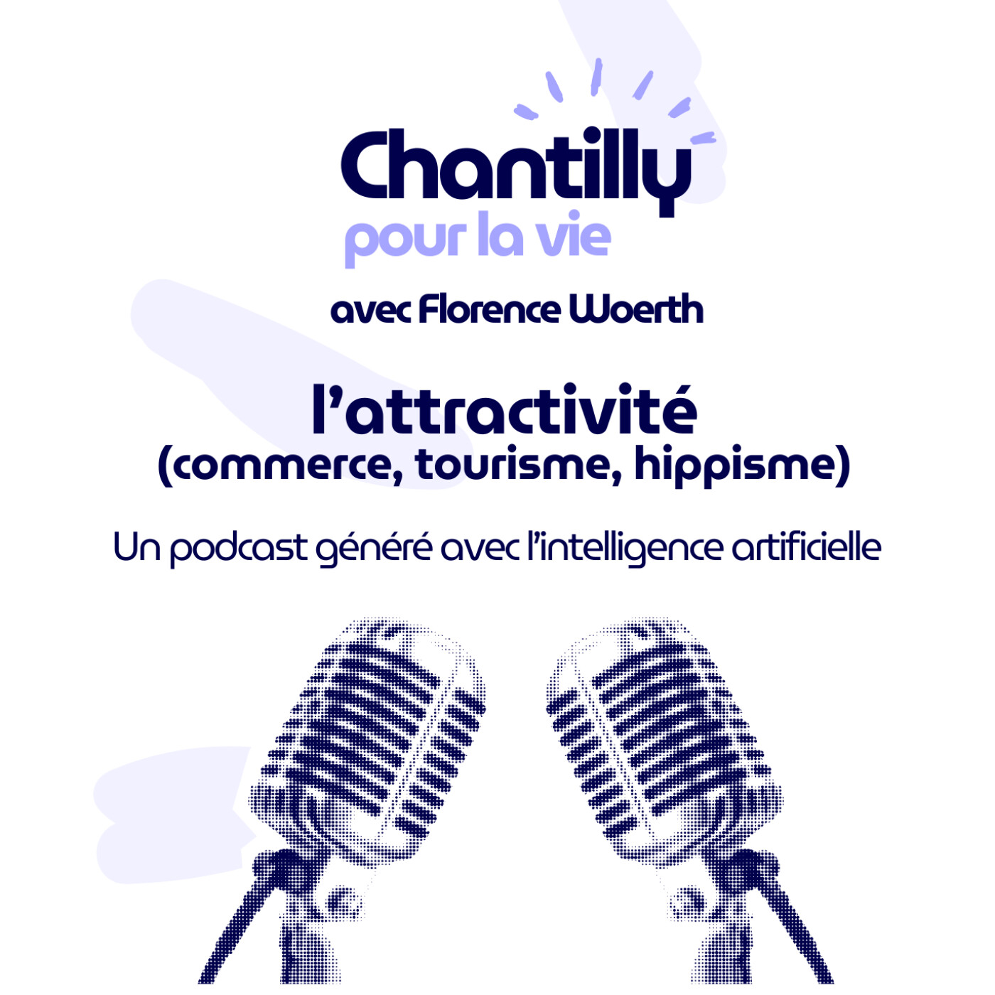 Episode 17 : réunion publique sur l'attractivité (commerce, tourisme, hippisme) episode artwork