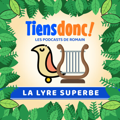 La Lyre superbe, l'oiseau qui imite tout cover
