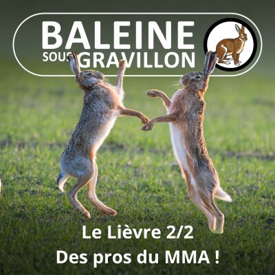 S05E37 Le Lièvre 2/2 : Ces lièvres qui "bouquinent" (Hélène Dupuy) cover