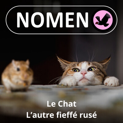 S01E13 Le Chat : De Raminagrobis à Garfield, un symbole de mignonceté... et d'hypocrisie cover