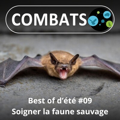 BEST OF D'ÉTÉ #09 : Soigner la faune sauvage 9/13 cover