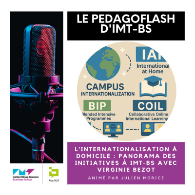 #24 - L'internationalisation à domicile : panorama des initiatives à IMT-BS avec Virginie Bezot cover