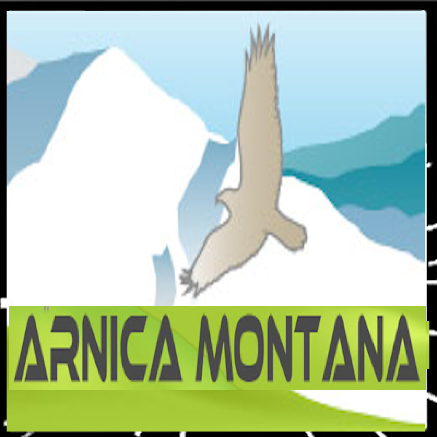 RTVV 125, Terrifiantes pour les uns, fascinantes pour les autres, les chauves-souris