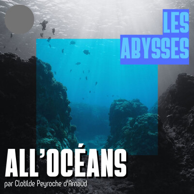 Les Abysses cover