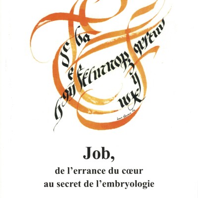 Job, de l’errance du cœur au secret de l’embryologie cover