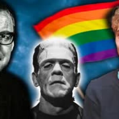 La (terrible) expérience de la théorie du genre cover