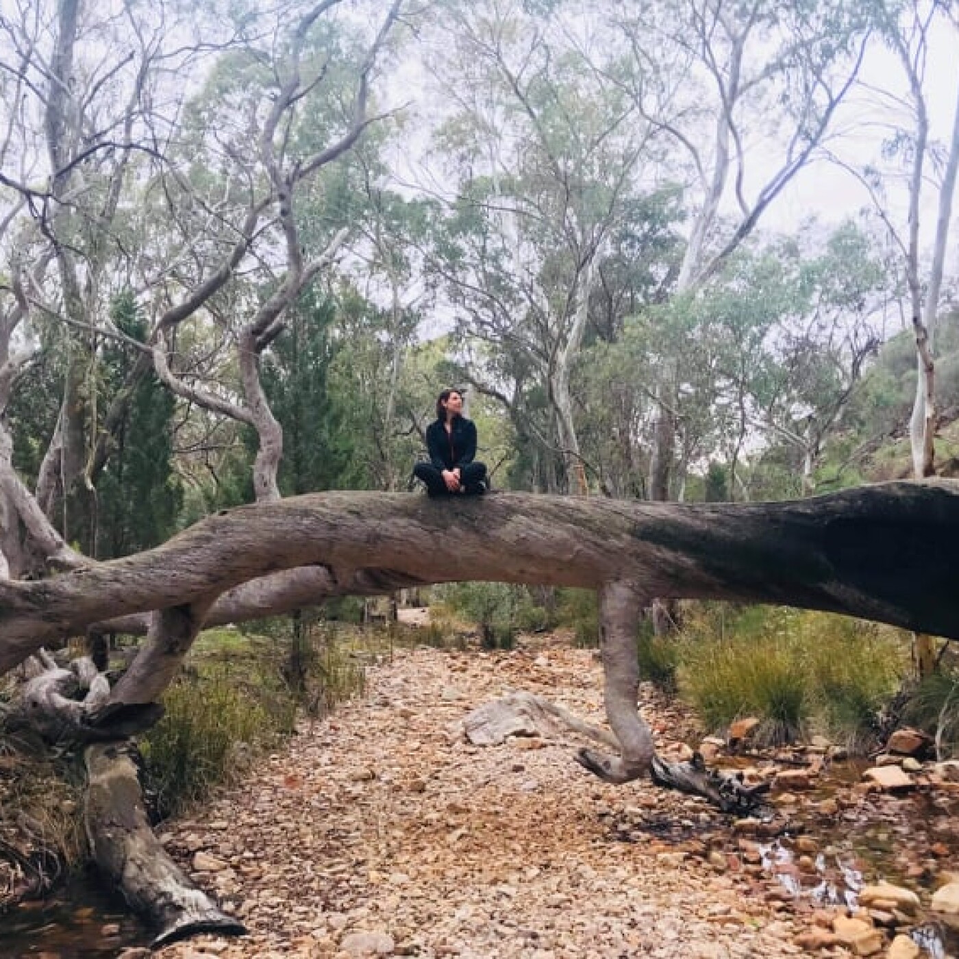Maëlle expat en Australie à Adélaïde