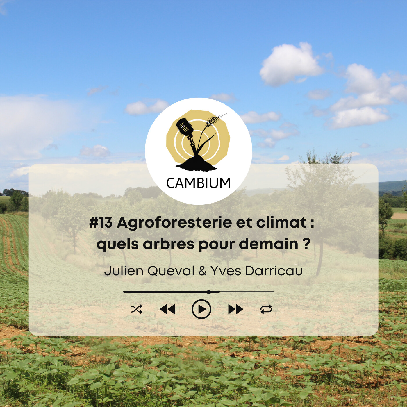 CAMBIUM, le podcast de l\'agroforesterie
