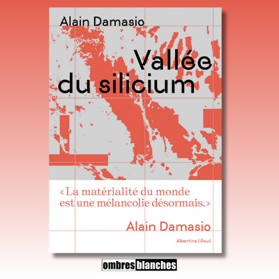 Alain Damasio → Vallée du silicium cover