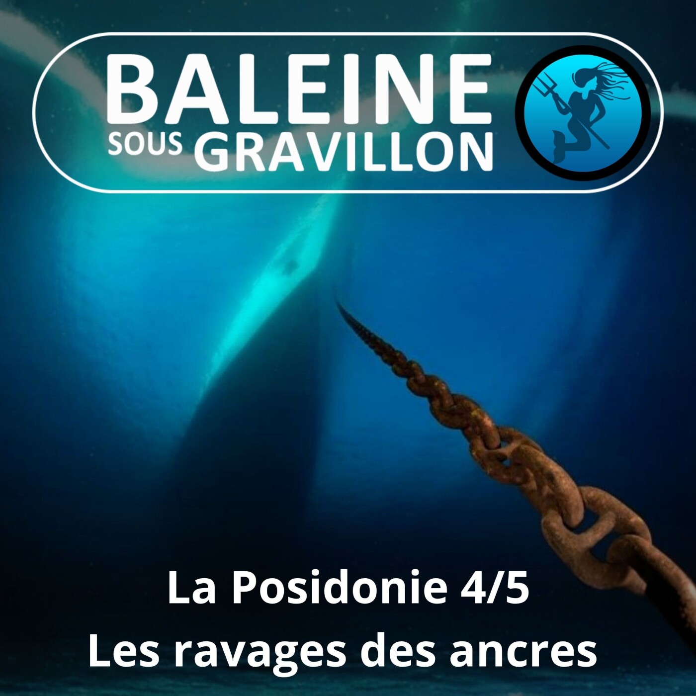 S04E82 La Posidonie 4/5 : Un trésor millénaire ravagé par les ancres des bateaux episode artwork