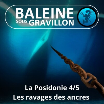 S04E84 La Posidonie 4/5 : Un trésor ravagé par les ancres des bateaux (Laurent Ballesta, Pierre Descamp / Andromède) cover