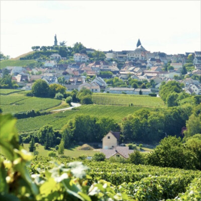 Escapade dans le parc de la Montagne de Reims ! cover