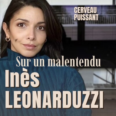 Sur un malentendu, ça peut passer : Inès Leonarduzzi;Instinct, courage et colère créatrice cover