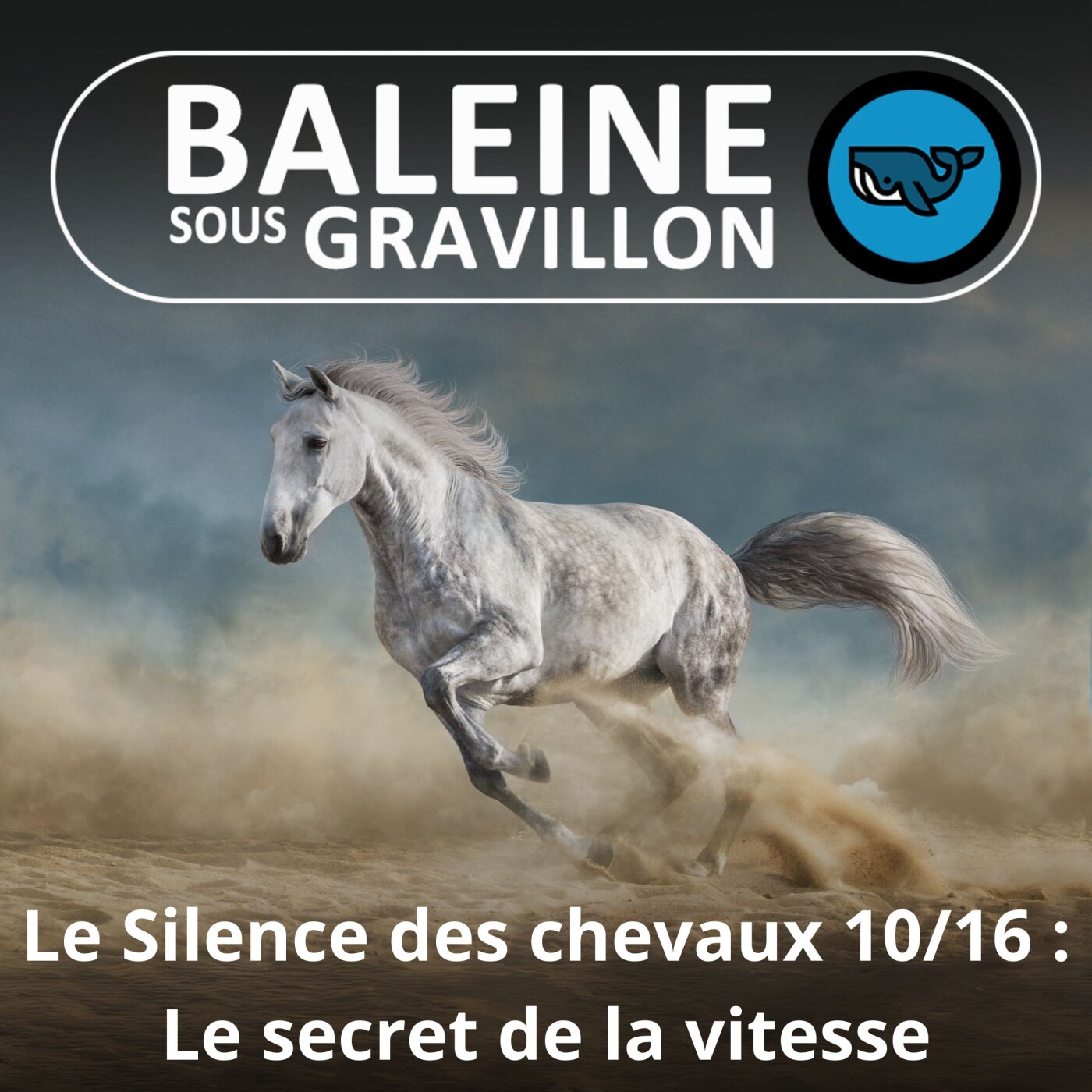 S06E44 Le Silence des chevaux 10/16 : Le sabot, un ongle incompris, pourtant essentiel !