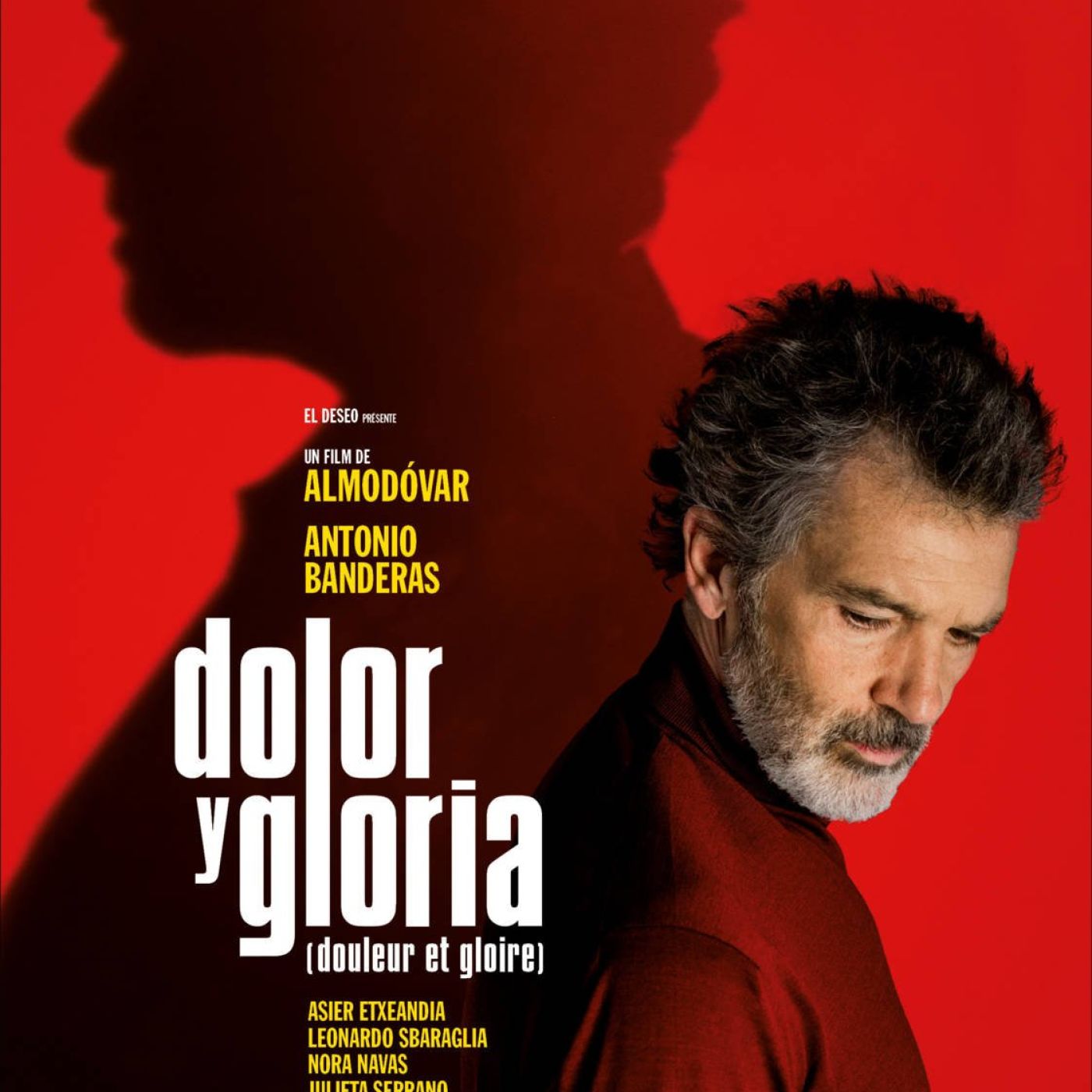 Critique du film Douleur et Gloire | Cinémaradio