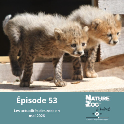 Épisode 53 (ACTU) - Les actualités en mai 2026 cover