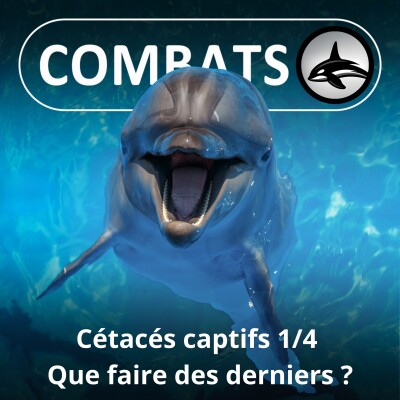 S05E56 Cétacés captifs 1/4 : Que faire des derniers ? cover