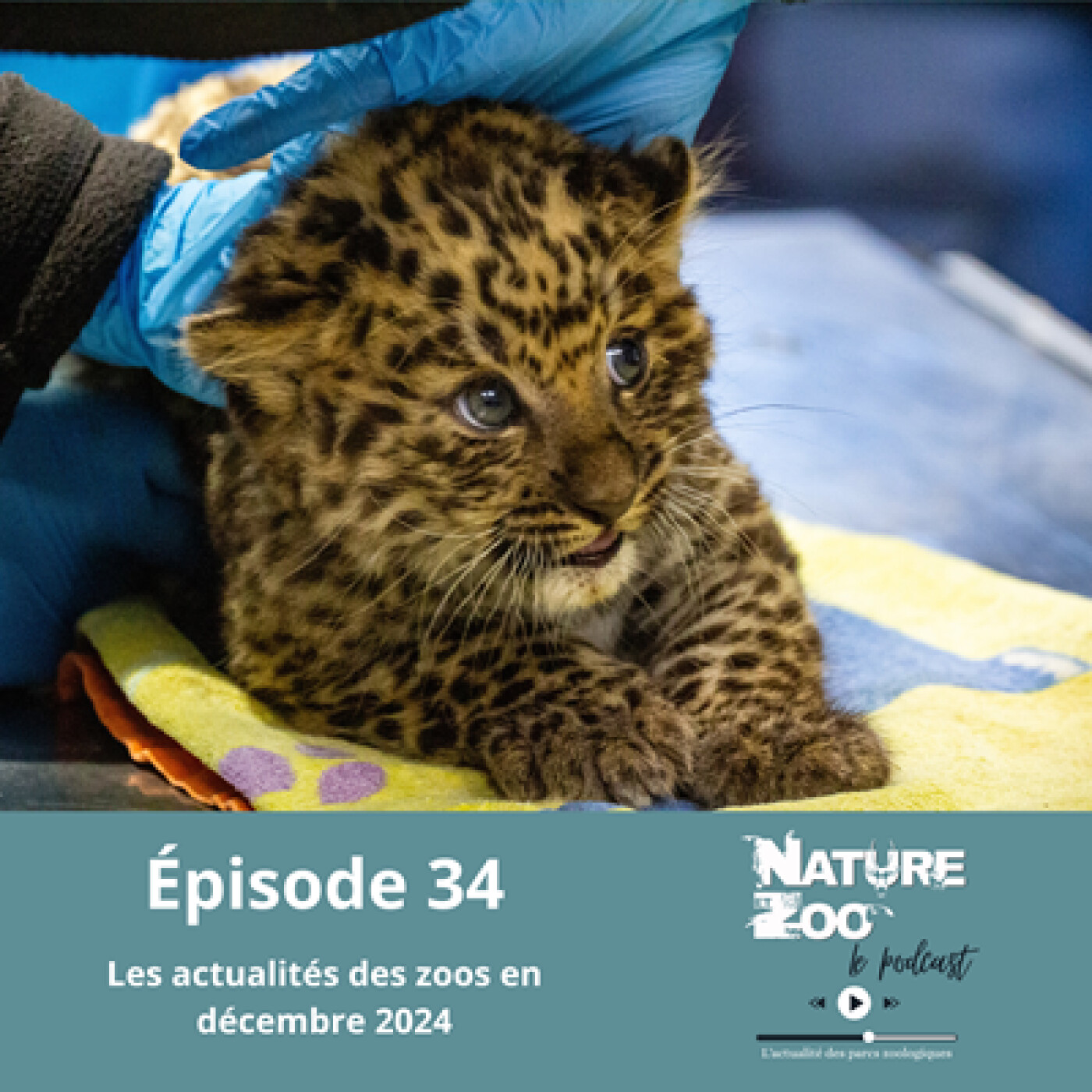 Épisode 34 (ACTU) - Les actualités en décembre 2024 episode artwork
