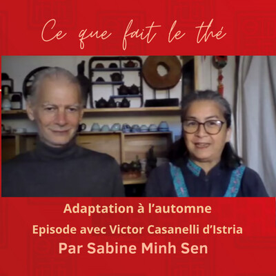 Adaptation à l'automne cover