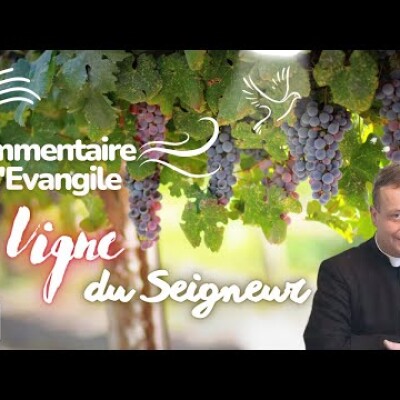 La vigne & les nations : Explications • Commentaire de l'Evangile • Homélie | Dimanche 8 octobre cover
