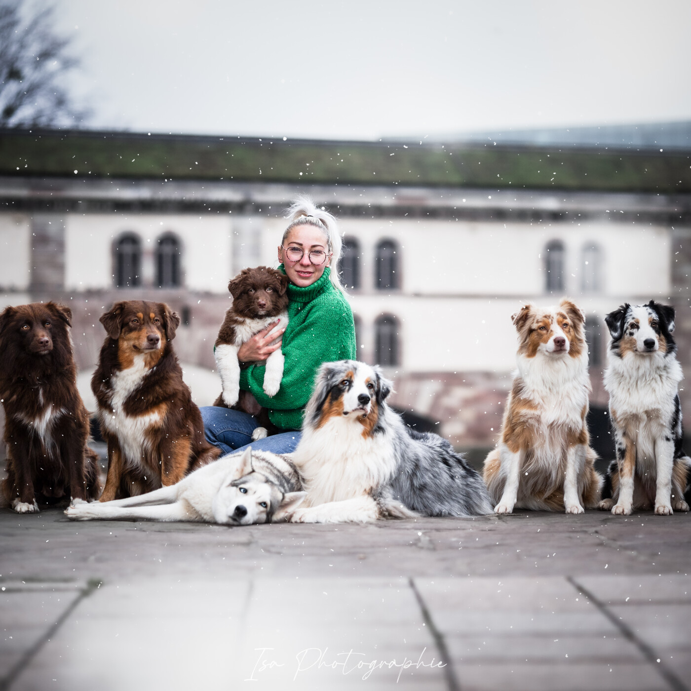 Les chroniques fantastiques du chiot