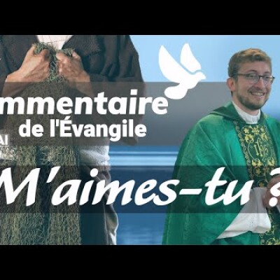 Pourquoi l'Eglise a besoin d'un pasteur • Commentaire de l'Evangile | Homélie — Dimanche 1er mai cover