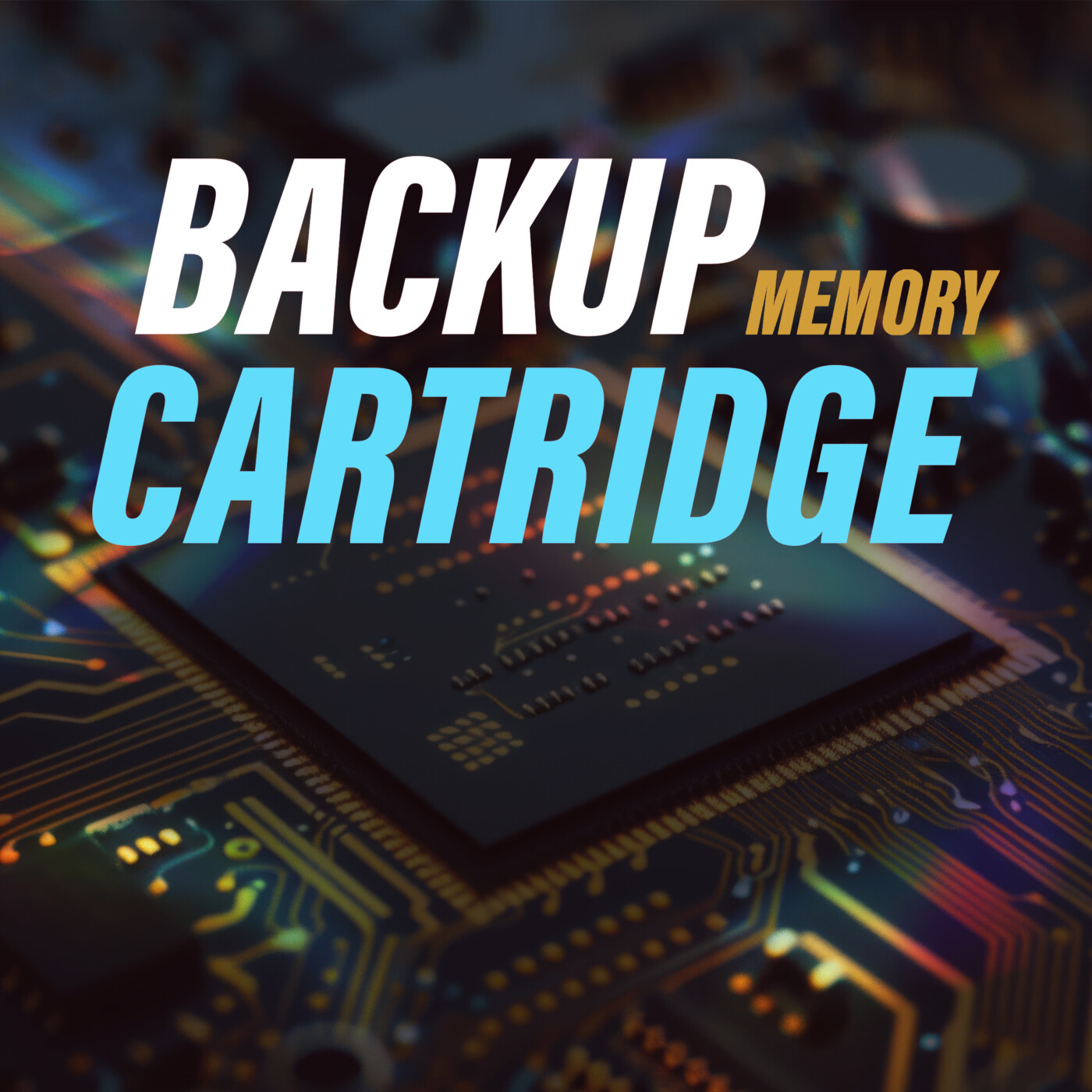 Backup Memory Cartridge