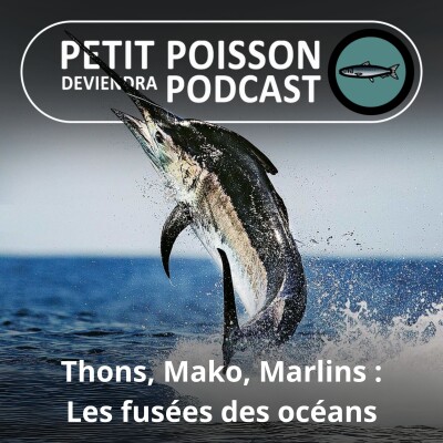 S03E36 Thons, mako, marlins : Les fusées des océans (Bill François) cover