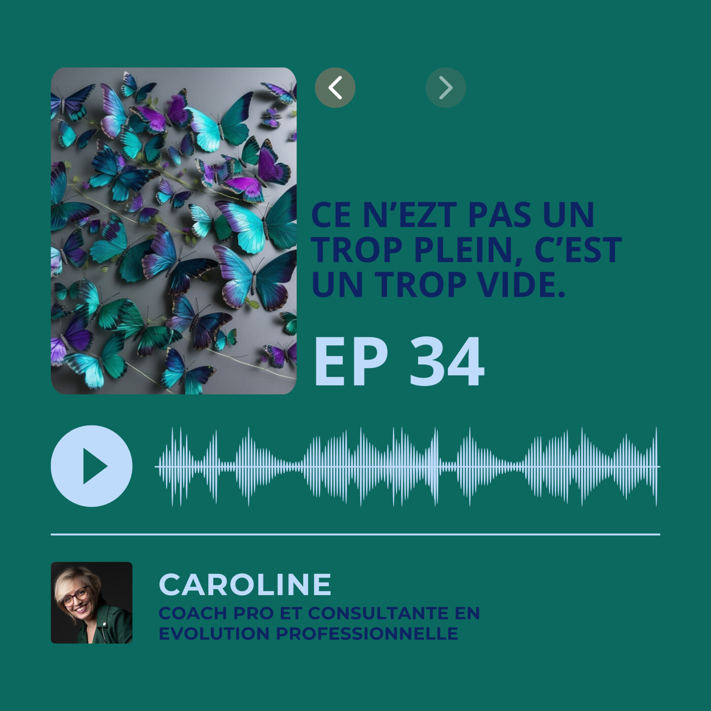 Episode 34 - Ce n'est pas un trop plein, c'est un trop vide. episode artwork