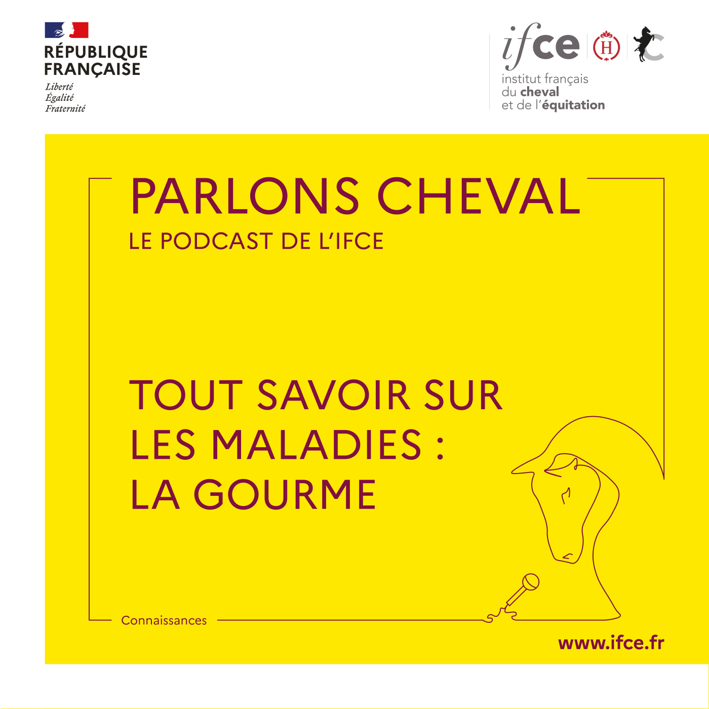 Ép. 81 | Tout savoir sur les maladies : la gourme – Marie Delerue Ép. 81 | Tout savoir sur les maladies : la gourme – Marie Delerue