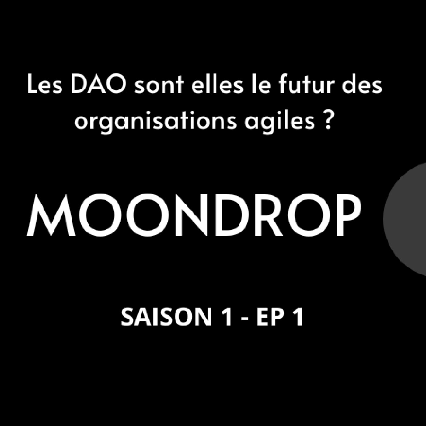 Les DAO sont elles le futur des organisations agiles ?
