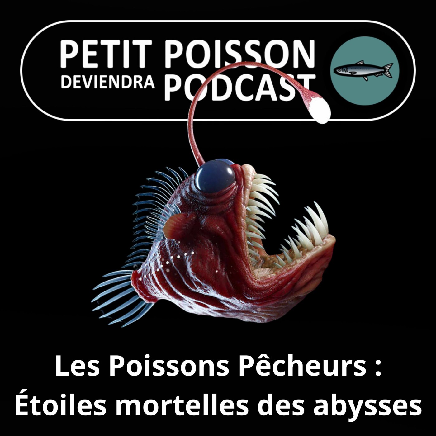 S05E07 Les Poissons pêcheurs, grenouilles, crapauds et chauves-souris (Lophiiformes)