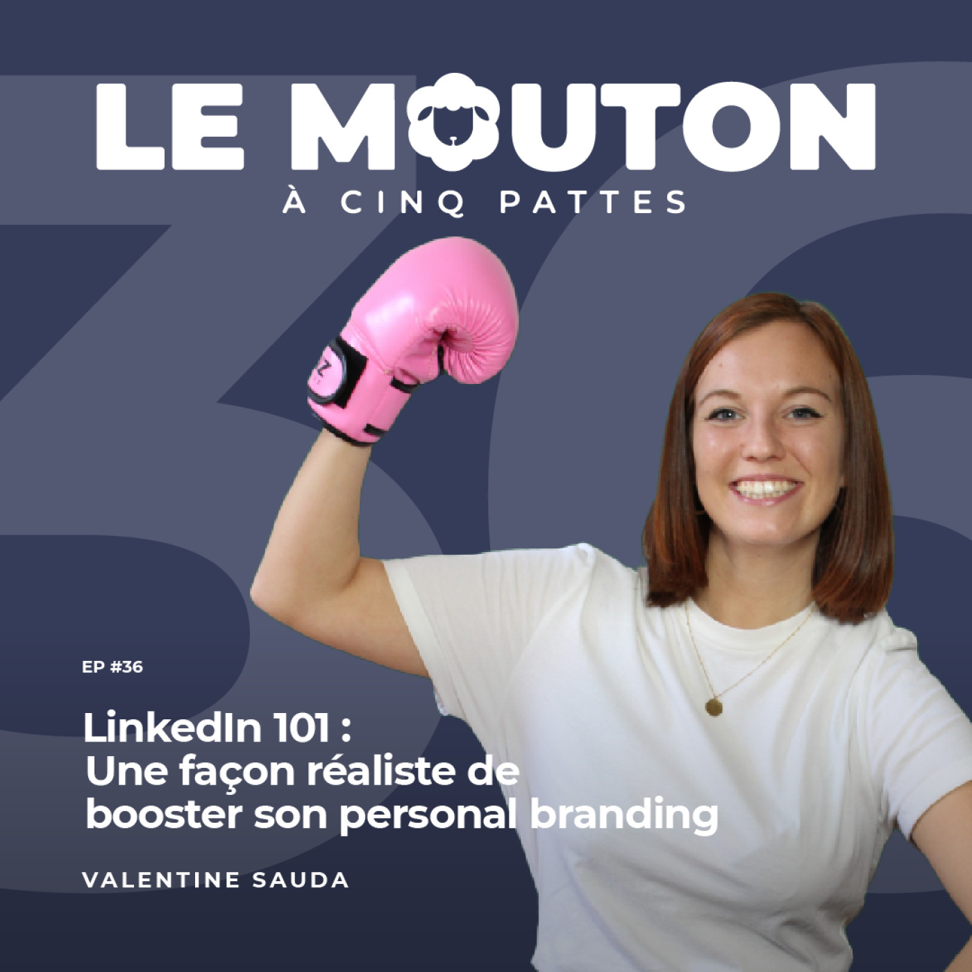 Le Mouton à 5 pattes