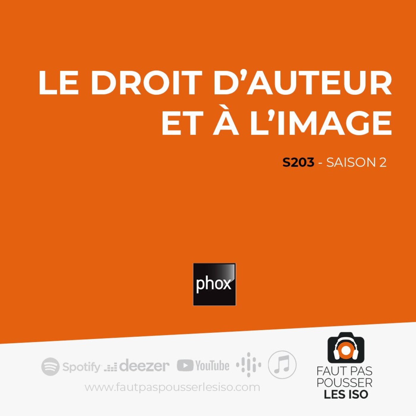 S203 - Le droit d'auteur et à l'image
