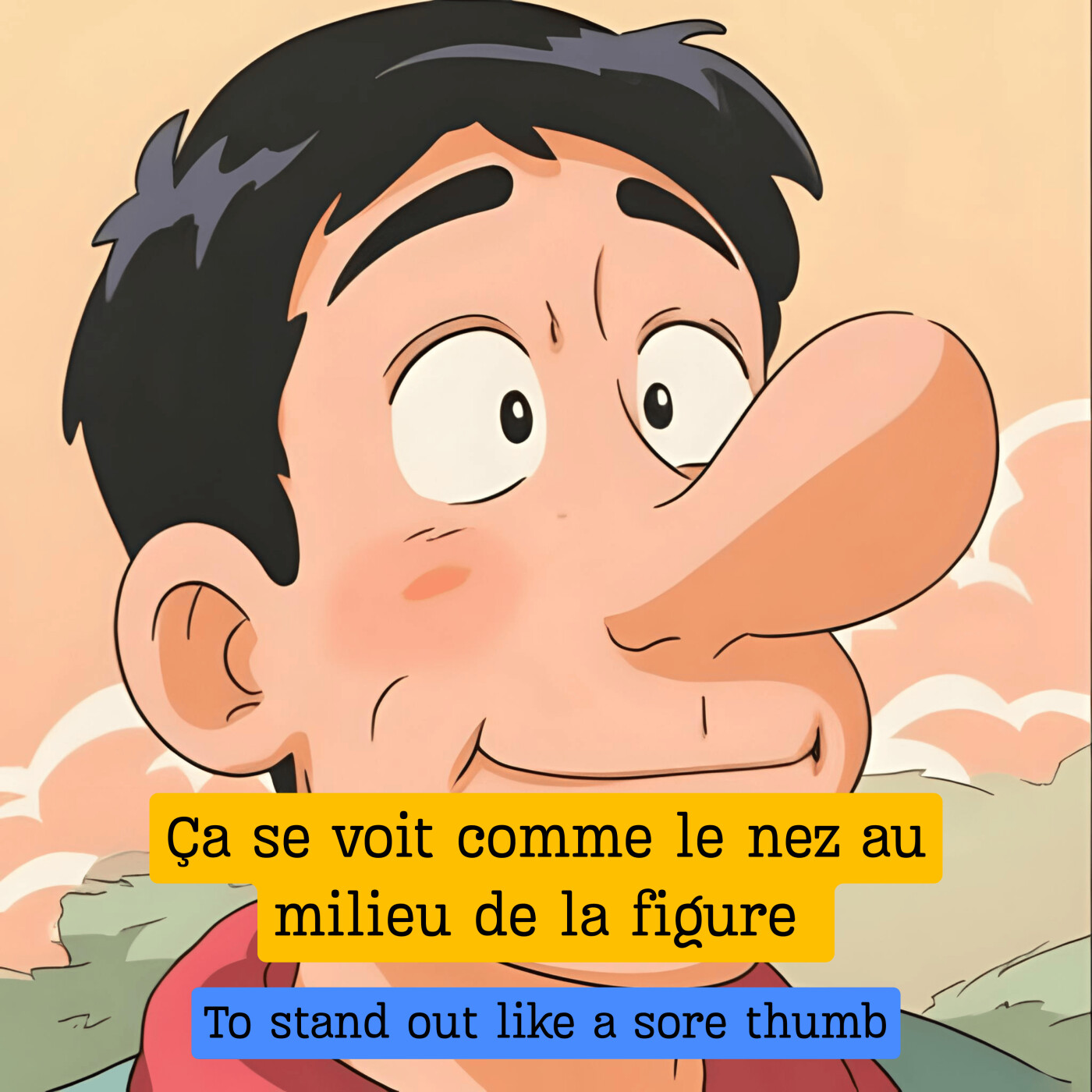 Expression française : "Ça se voit comme le nez au milieu de la figure"