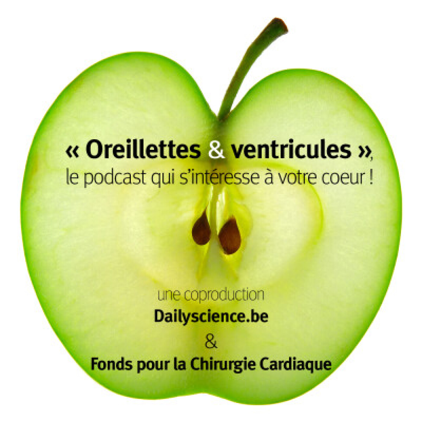 Insuffisance cardiaque congestive: du neuf! avec le Dr Jeroen Dauw, Azorg episode artwork