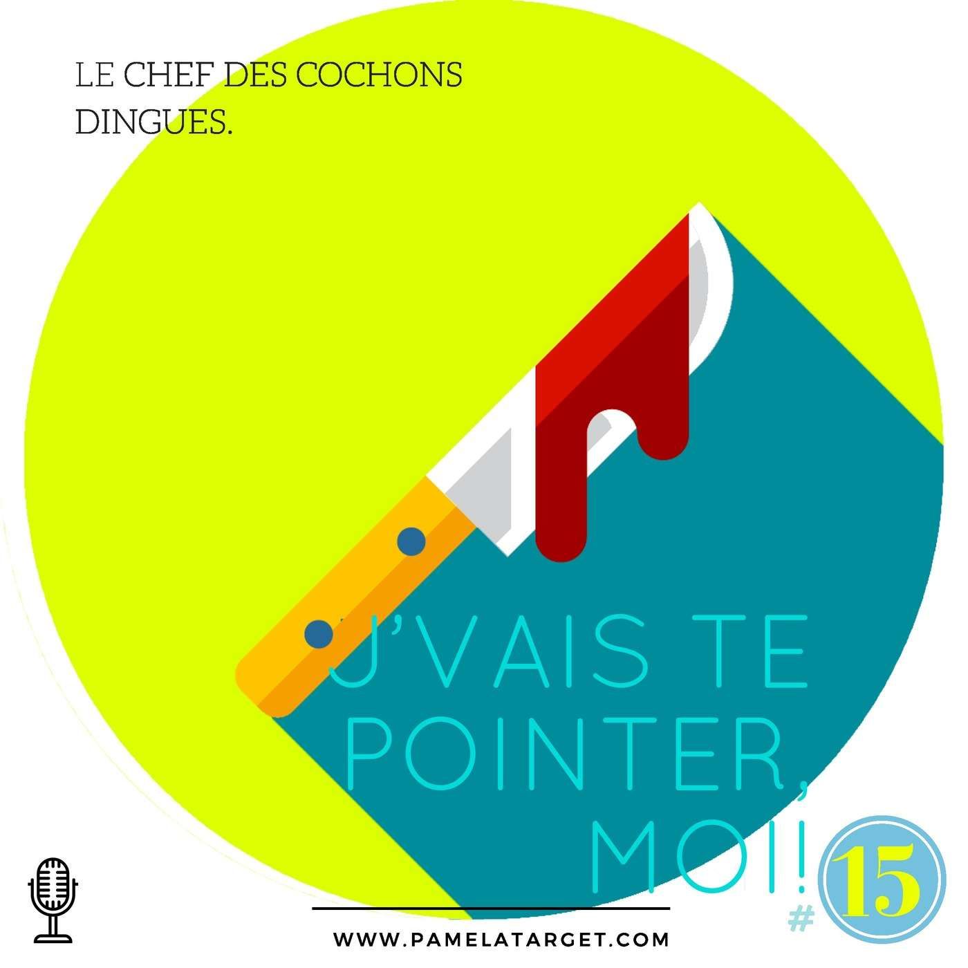 PTS01E15 Jvais Te Pointer